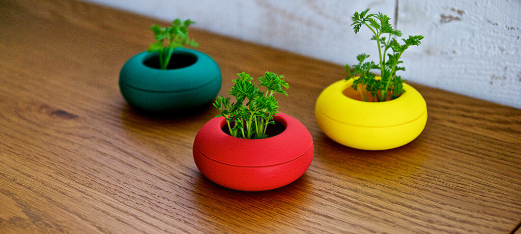 ニンジンポット