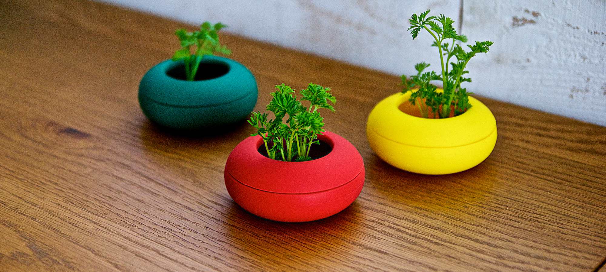 ニンジンポット