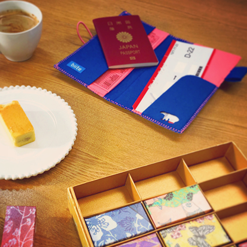 出入国カード入り